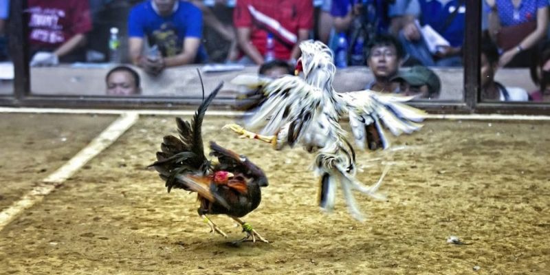 w88vn đăng nhập nổ hũ hàng đầu