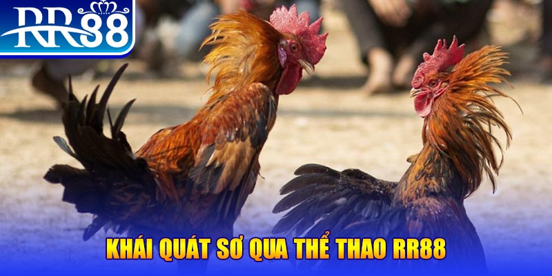 w88vn tải game đánh bài online về máy tính