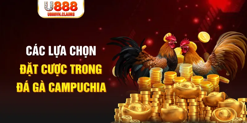 da ga truc tiep thomo