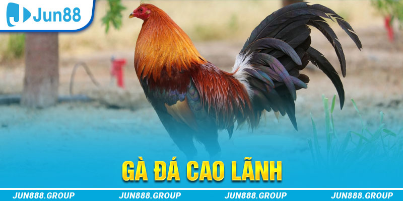 w88vn thị trường baccarat là gì