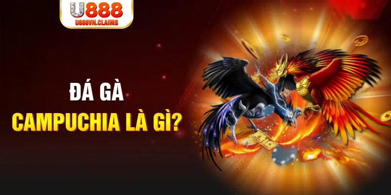 FC Bắn cá
