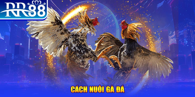 w88vn xổ số an giang