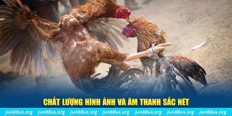 w88vn đăng nhập roulette live