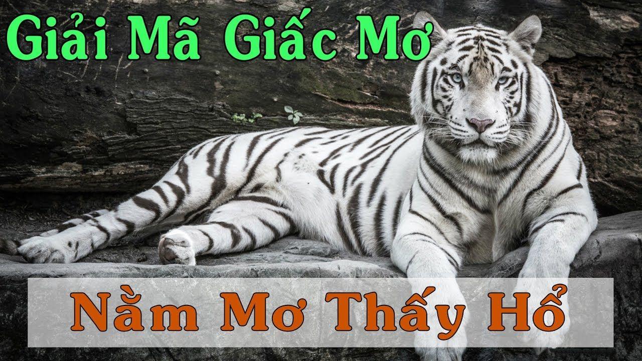 w88vn xổ số 3 miền