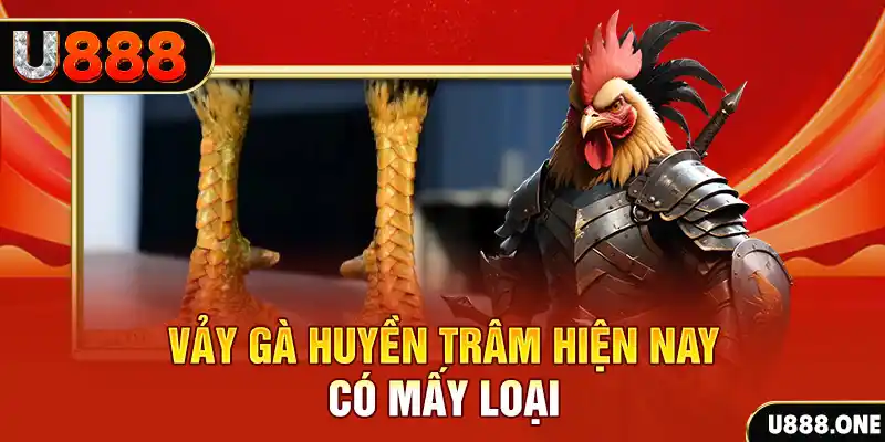 w88vn đăng nhập roulette uy tín
