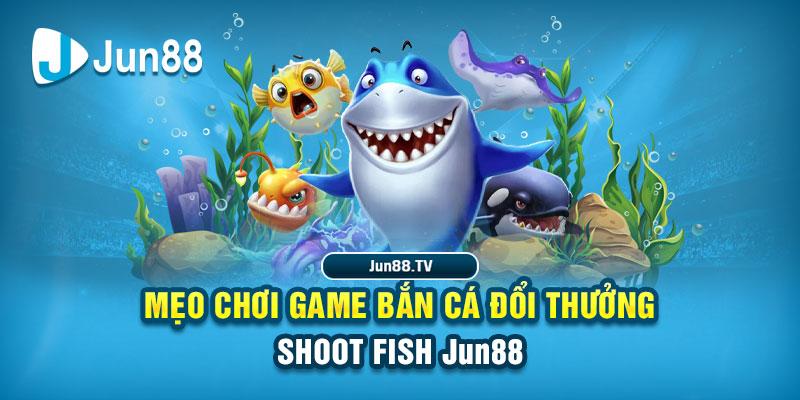 w88vn IM Thể Th