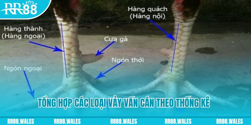 w88vn nền tảng baccarat là gì