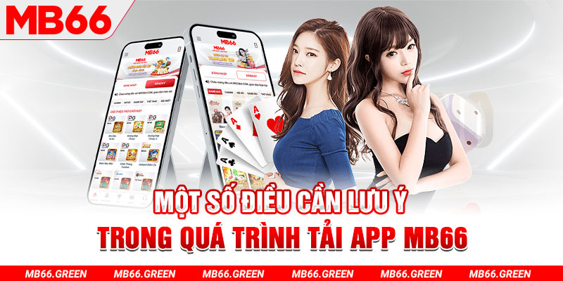 c1 gà chọi