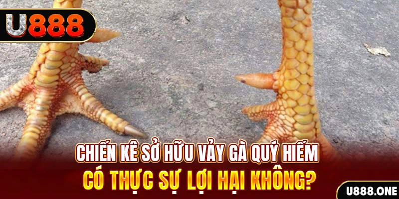 w88vn nohu .mx nổ hủ là gì