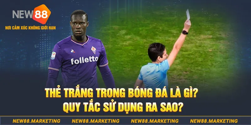 gà chọi mộc hóa