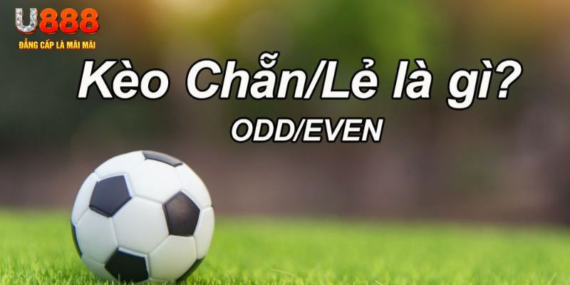 w88vn đăng nhập poker hôm nay