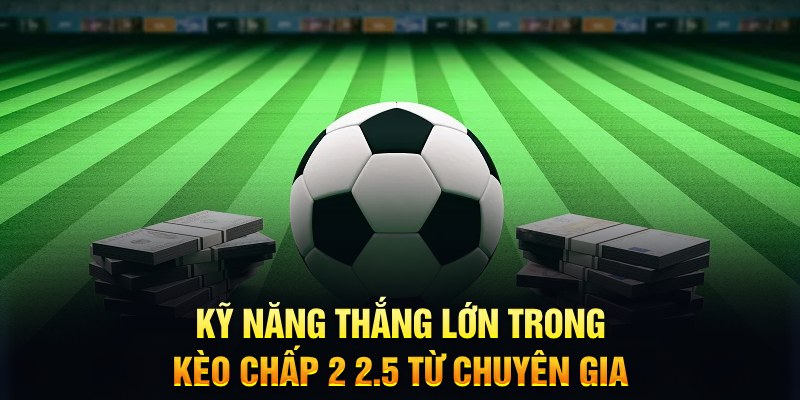 w88vn xổ số kiến thiết miền bắc