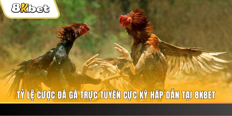 w88vn đăng nhập phỏm trực tiếp