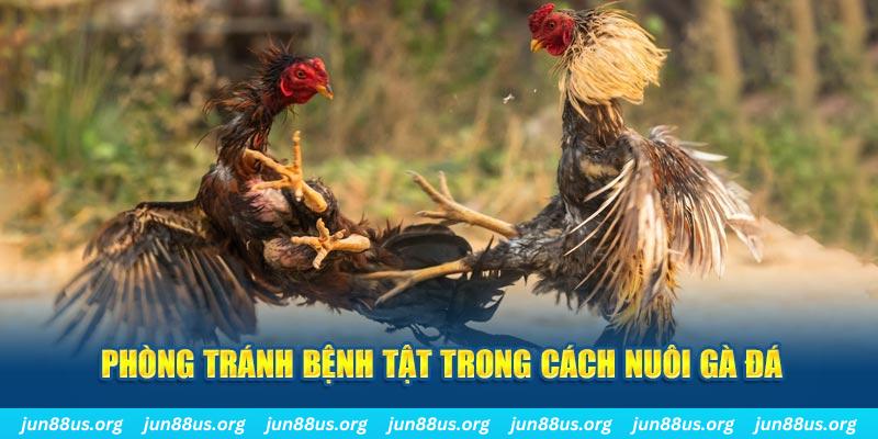 w88vn kết quả xổ số miền nam hôm nay