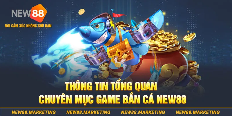 w88vn time slot là gì