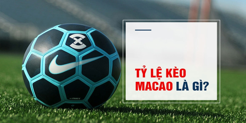w88vn slot là gì