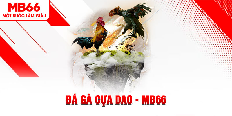 w88vn đá gà sv388 gold