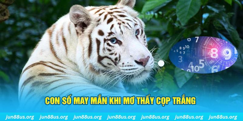 đá gà trực tiếp 88